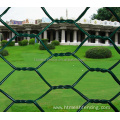 Galvanized Hexagonal chicken wire mesh